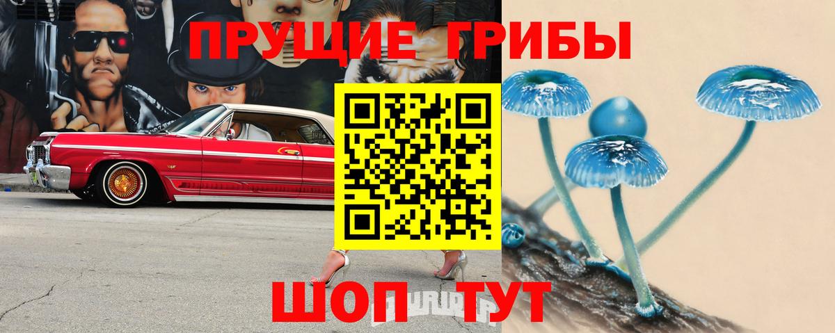 Галлюциногенные грибы Cubensis Электрогорск